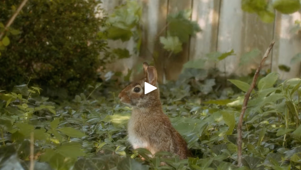 There's Always Something (Alex Blue feat. Hannah Read)